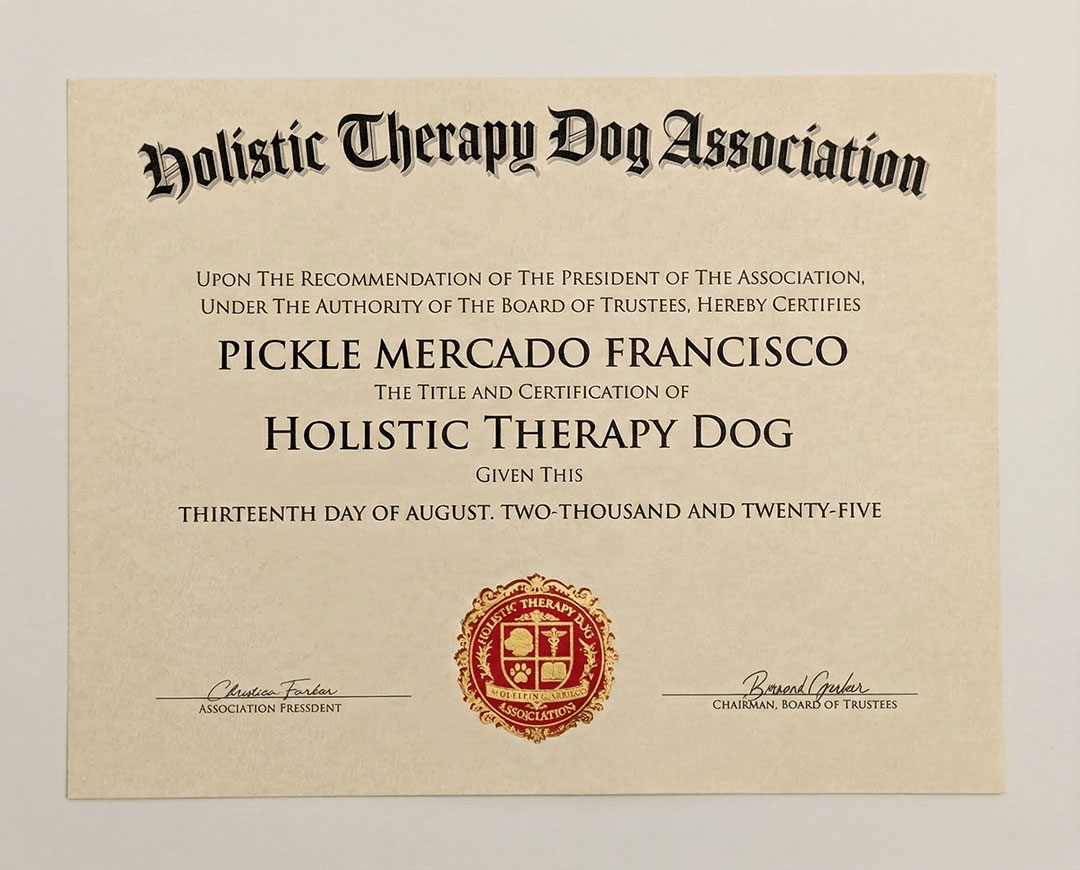 HTDA diploma — front view
