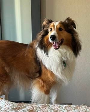 Lily LaFromboise